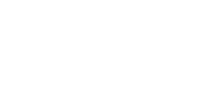 BDNY